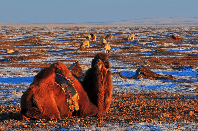 Mongolia
